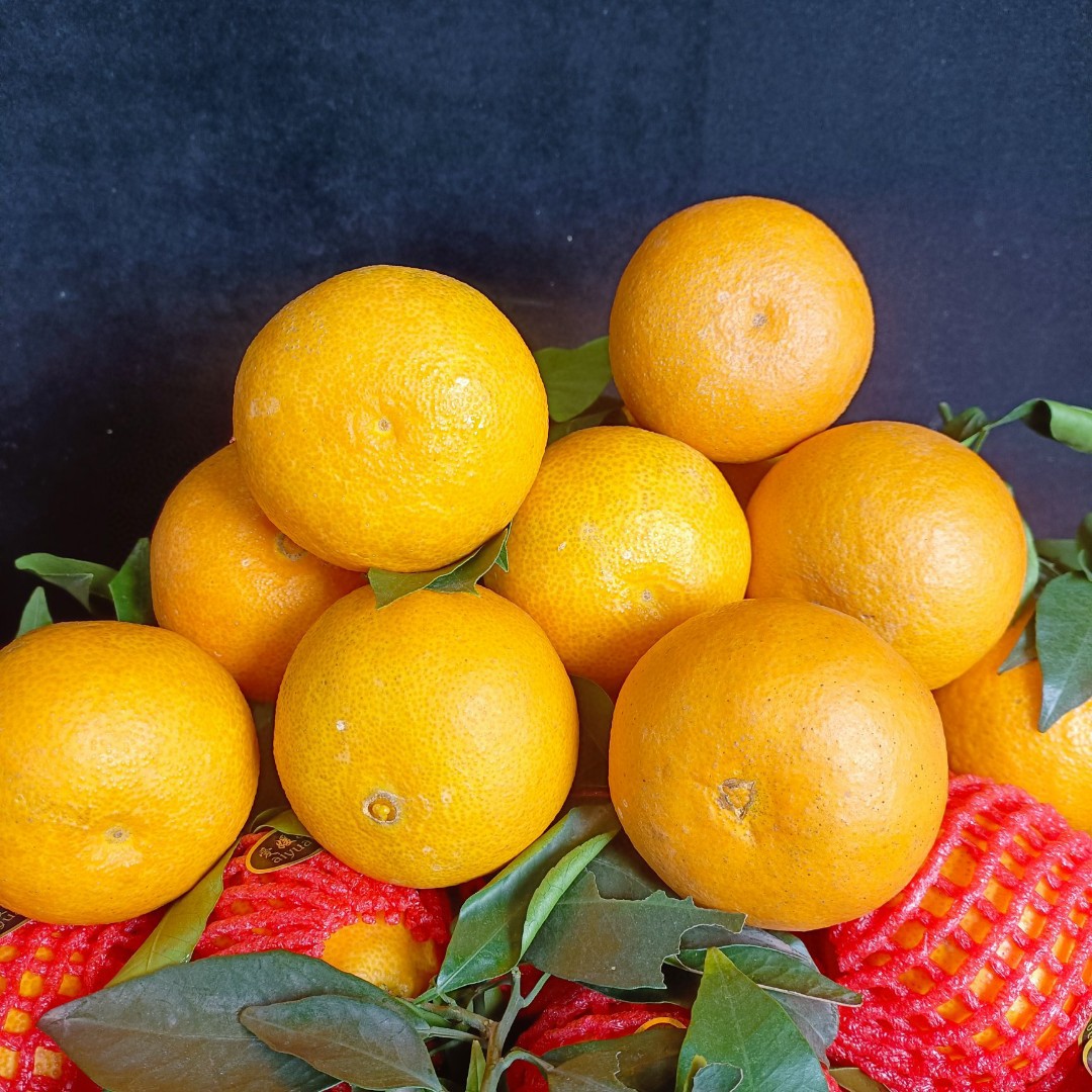 四川爱媛果冻橙四斤（坏果包赔）