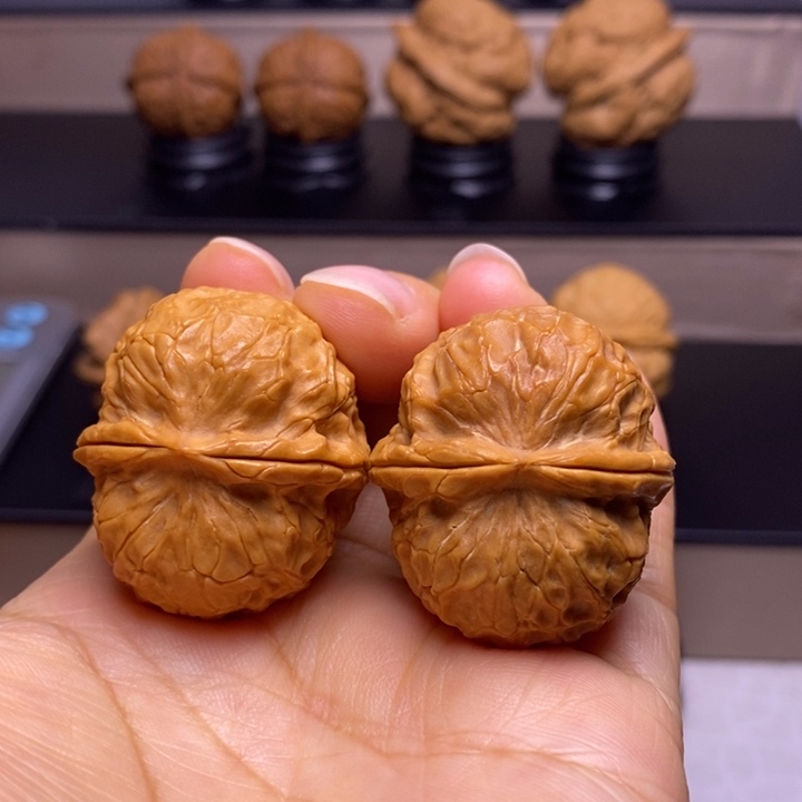 文玩核桃把件金龟子元宝13