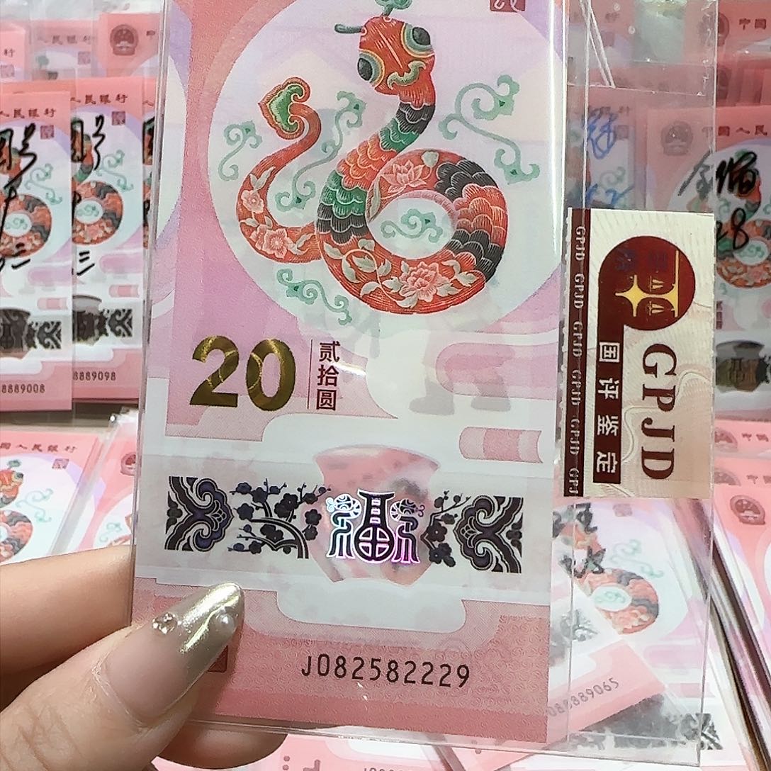 纸082582229。。。。。。。