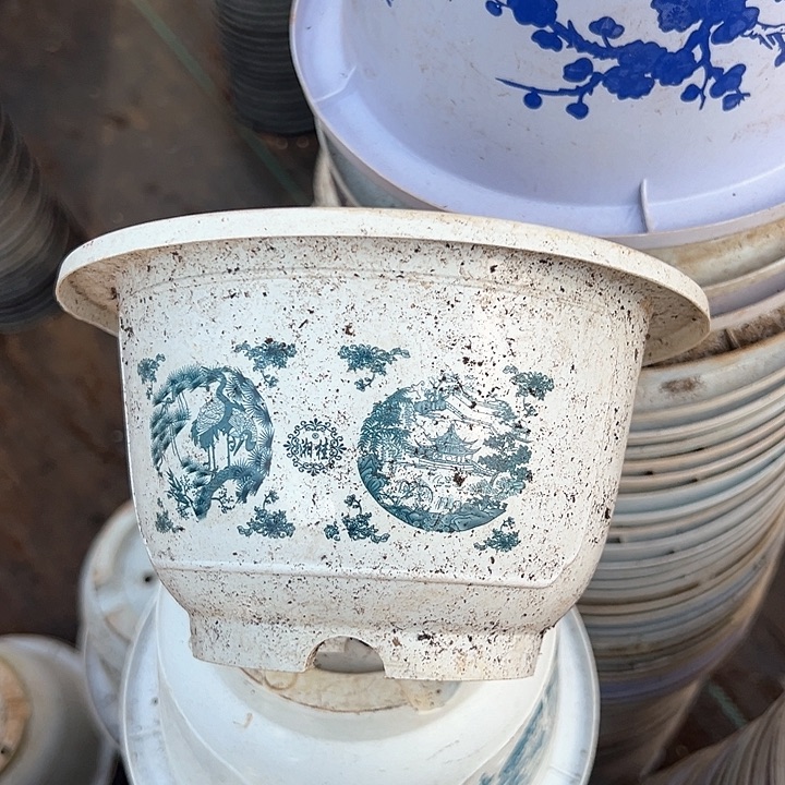 塑料口径17.5 高度10.5花开富贵一组12个