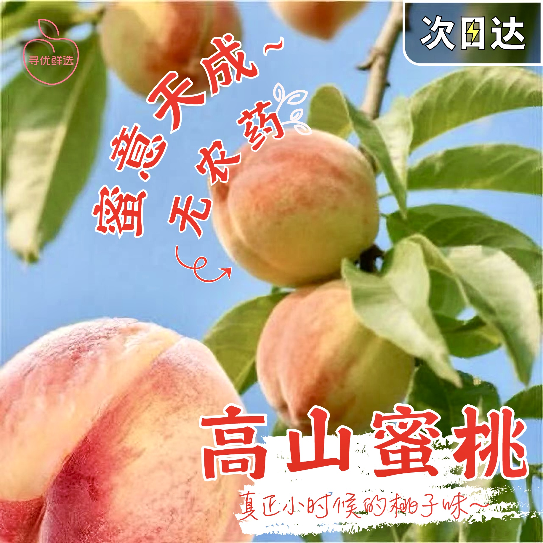 【4-3两】湖景蜜露水蜜桃湖景良方老树软硬两吃撕皮爆汁冷链浙江省
