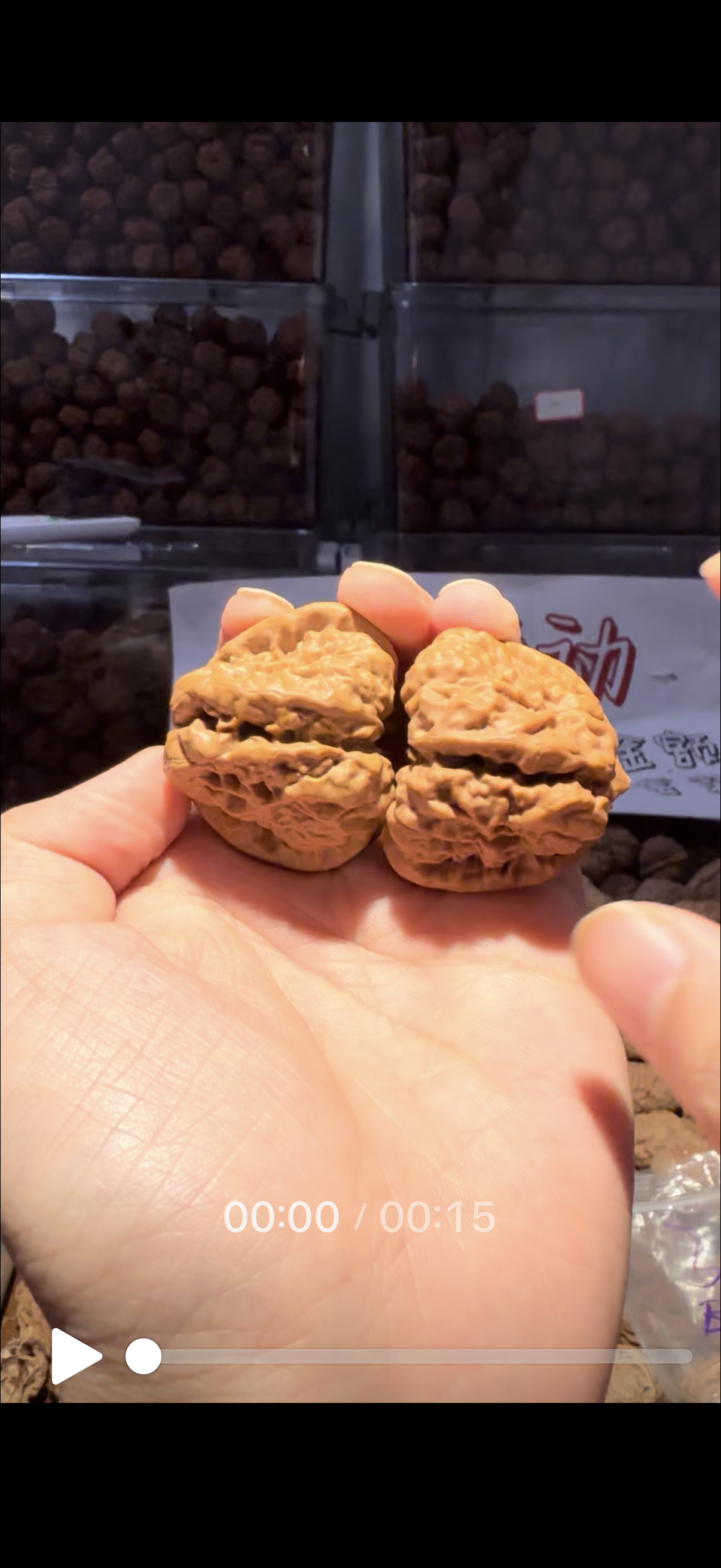 精品蛤蟆头四开背八腿八眼掐腰大凹底文玩核桃