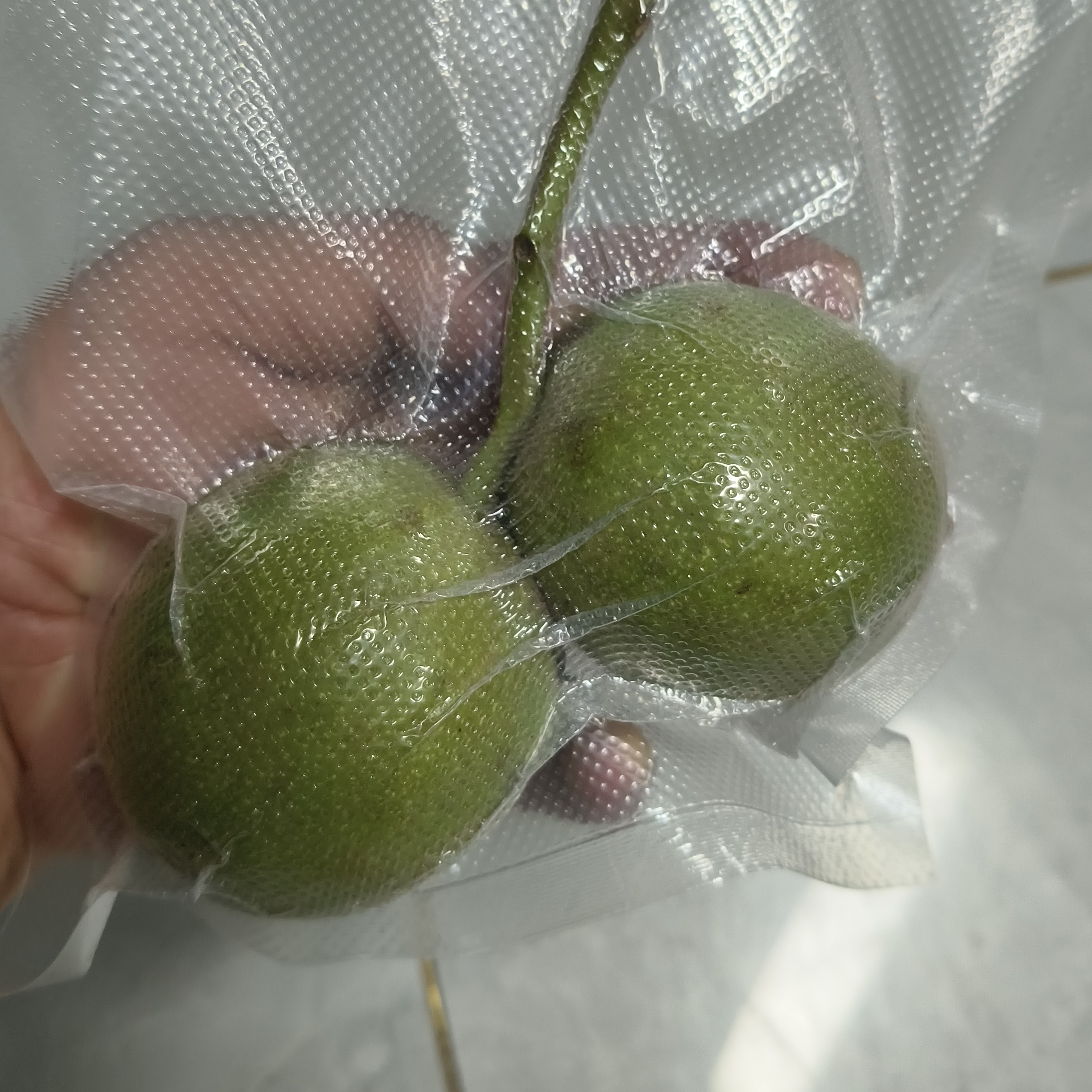 原装老树虎头青皮文玩核桃，不支持退换！