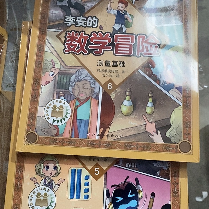 李安的数学5和6.两本