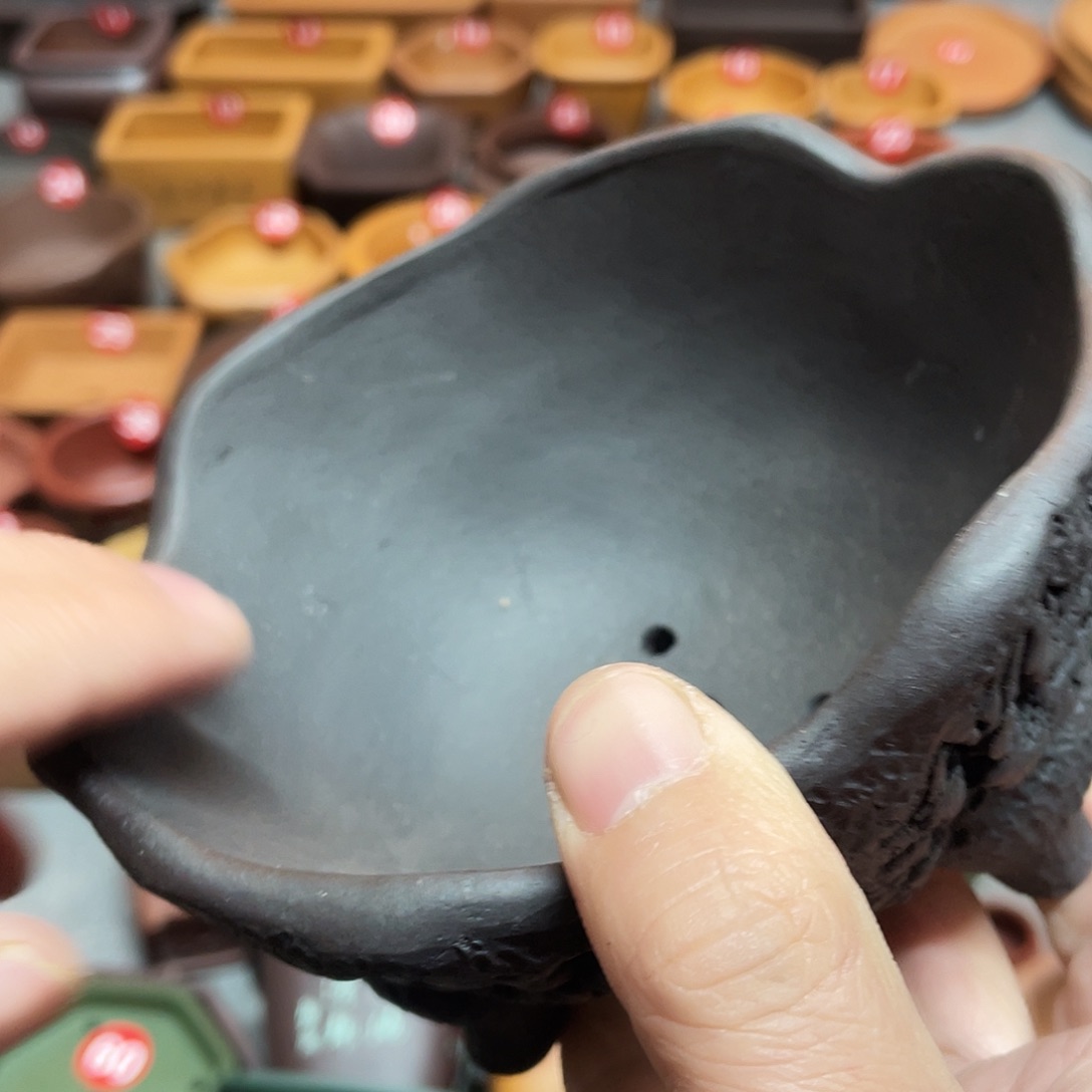 紫砂小盆12*5.5微瑕