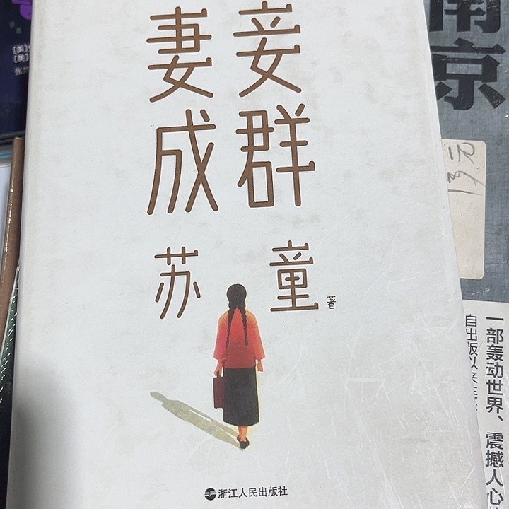 妻妾成群全新精装