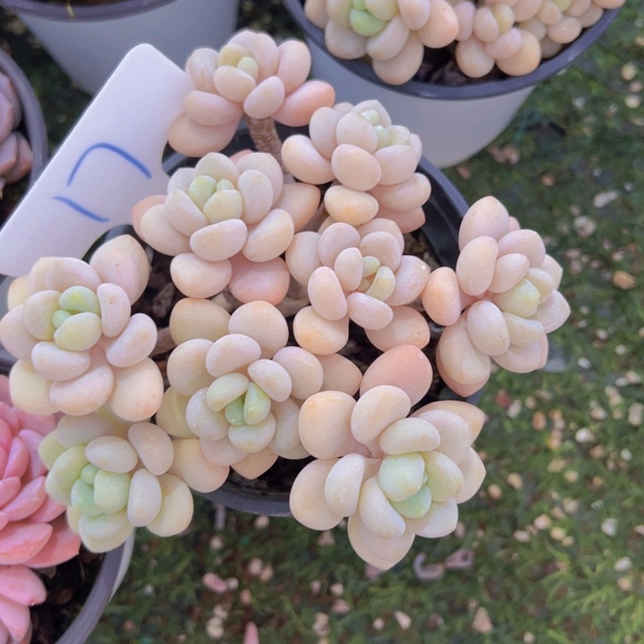 健健康康平平安安