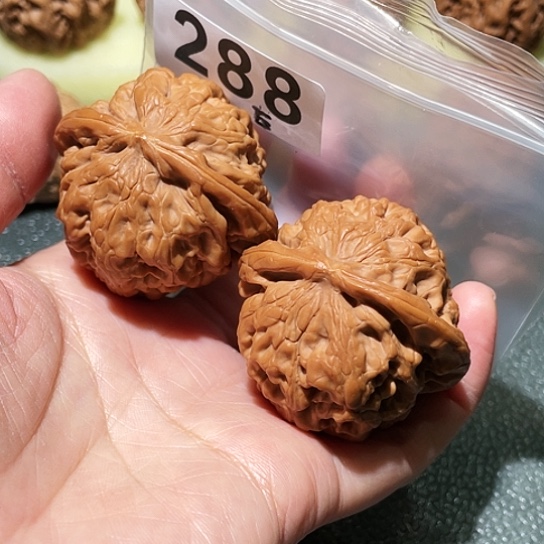 白***也文玩核桃把件凤凰44