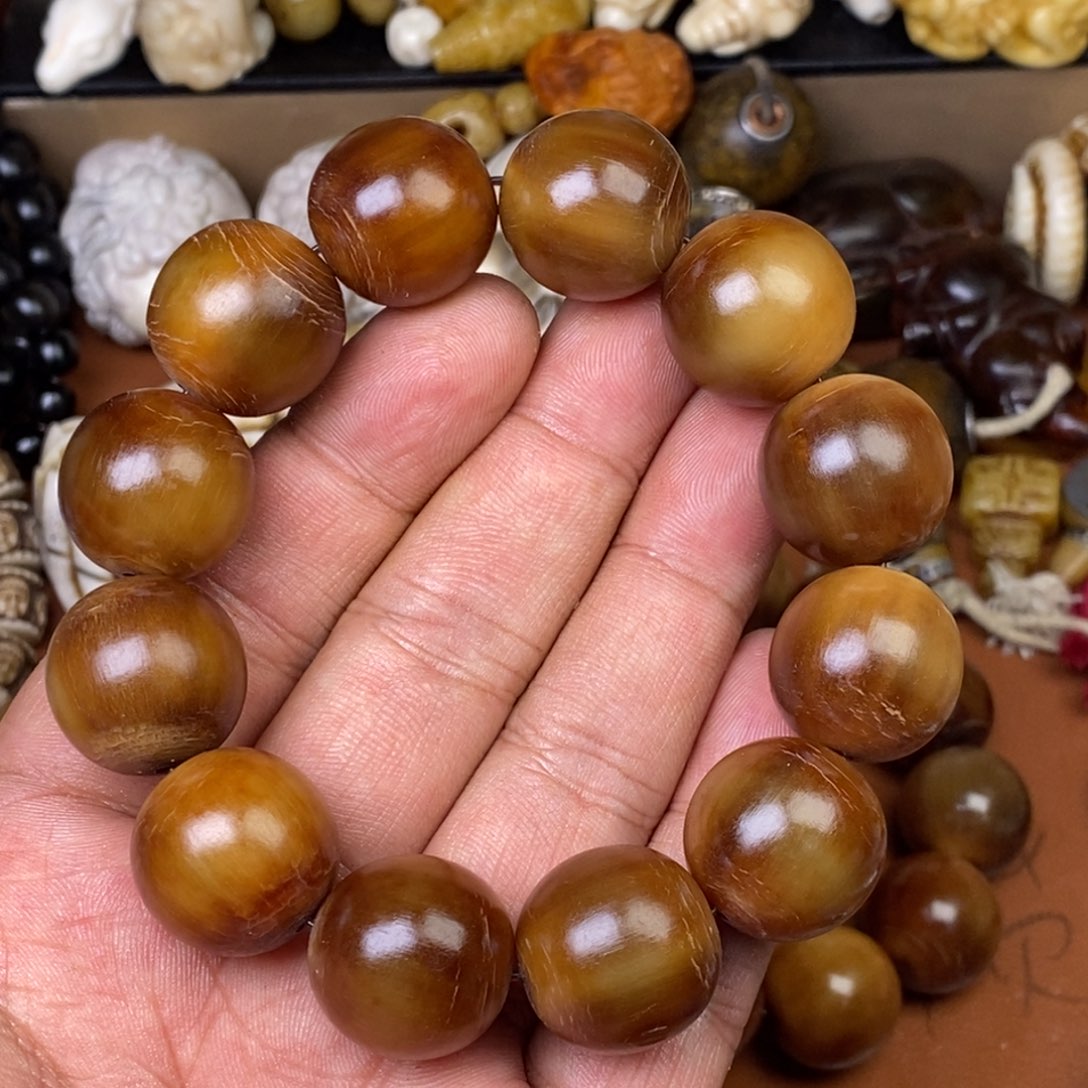 其他驼骨人工样子