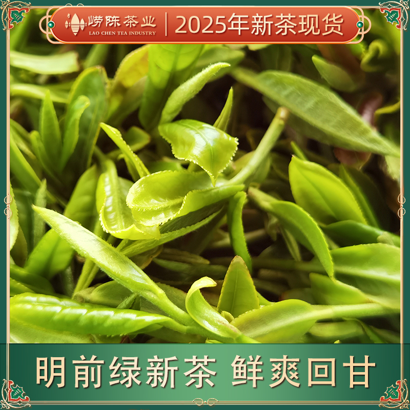 【二茬现货】崂山绿茶2025年新茶早春茶叶特级明前绿茶嫩芽鲜爽年货