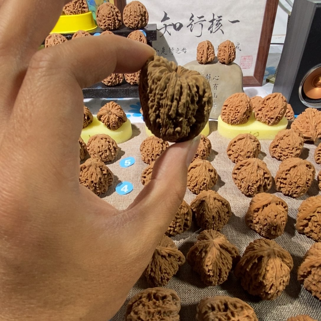 悟***6木质类奥迪的一天是