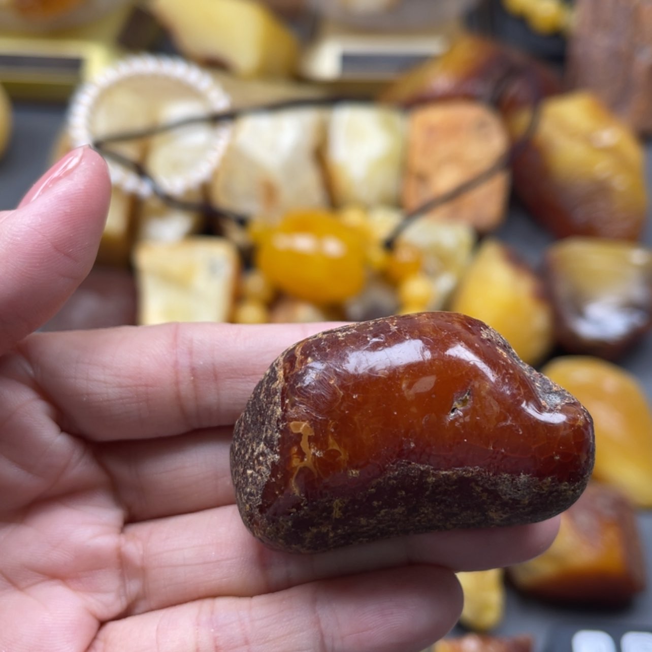 【闪购商品】未镶嵌定制琥珀天然琥珀蜜蜡原石