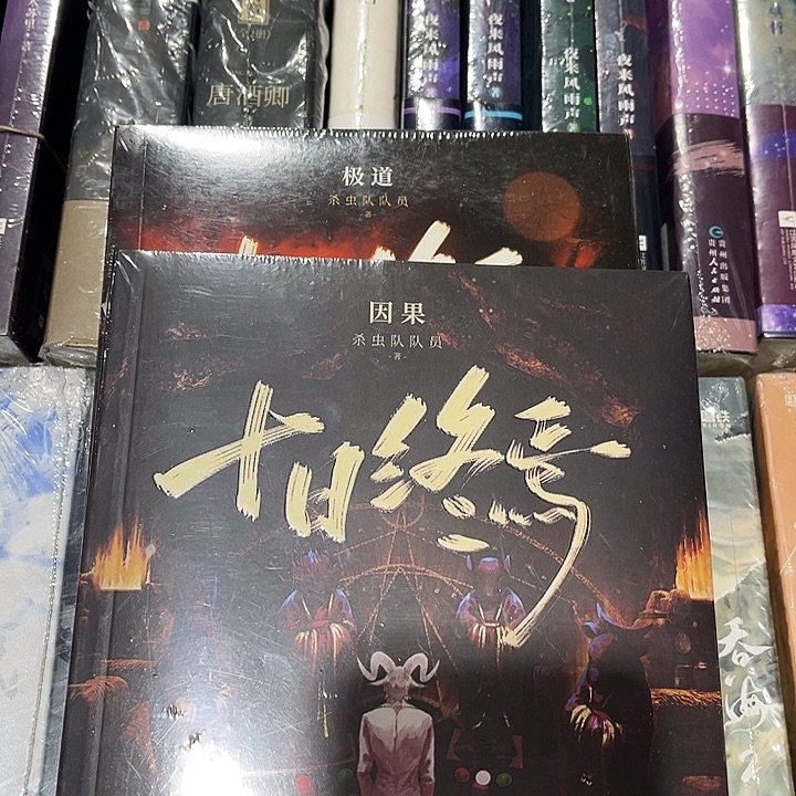 十日终焉极道➕因果全新两本带周边