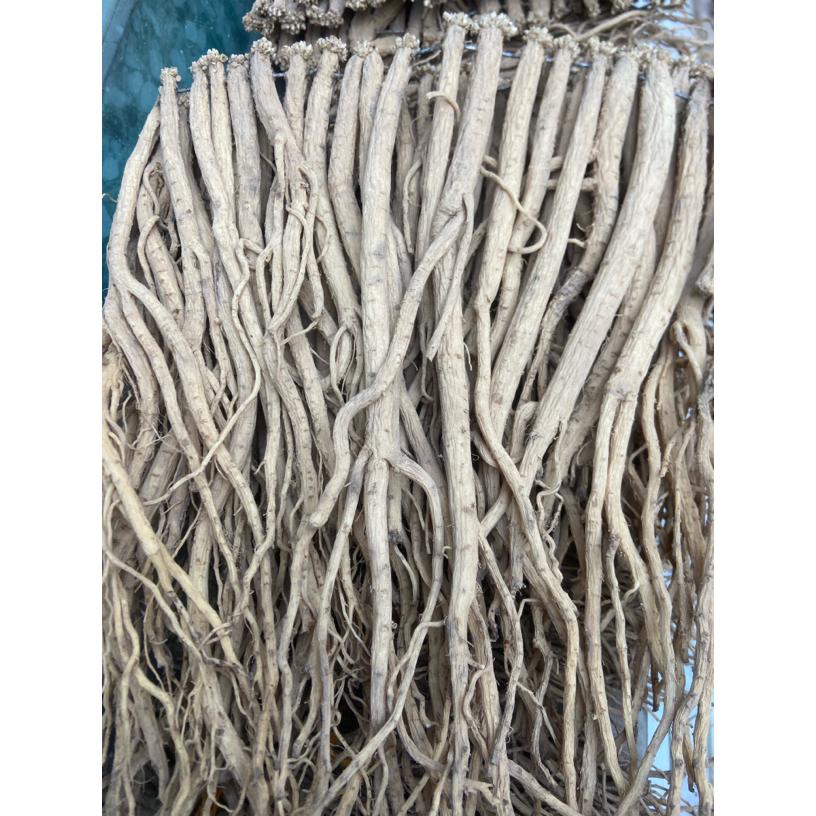 甘肃自家种植白条党参干货可煲汤泡水的滋补佳品250克500克包邮