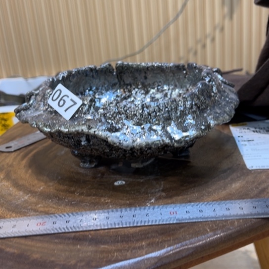 红陶A**u067……………………