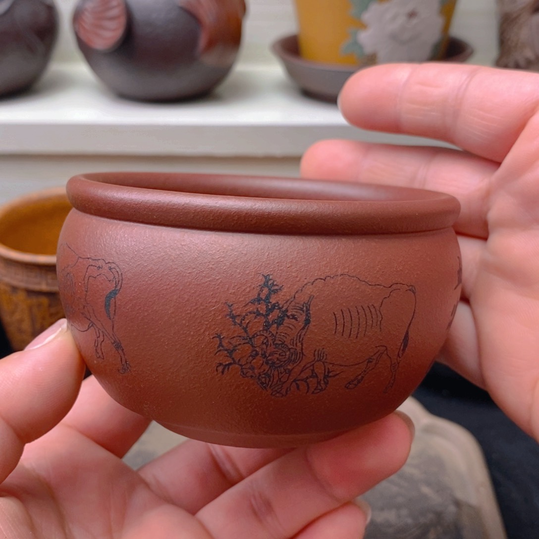 紫砂紫砂紫砂紫砂