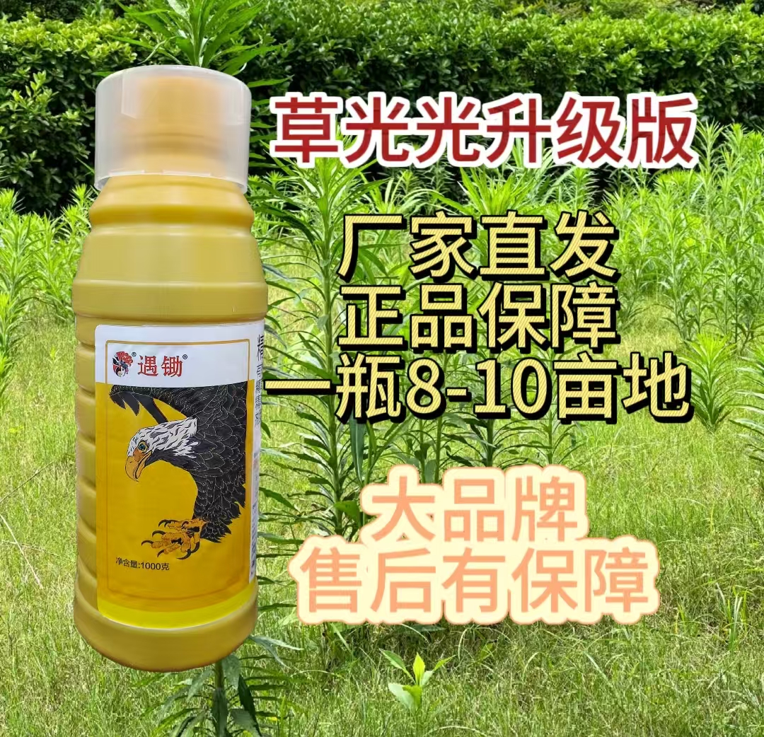 精草果园茶园小飞蓬芦苇茅草通用防治高生长效绿色叶面肥1