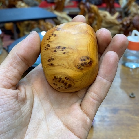 柏木（崖柏）t*m太行崖柏根雕