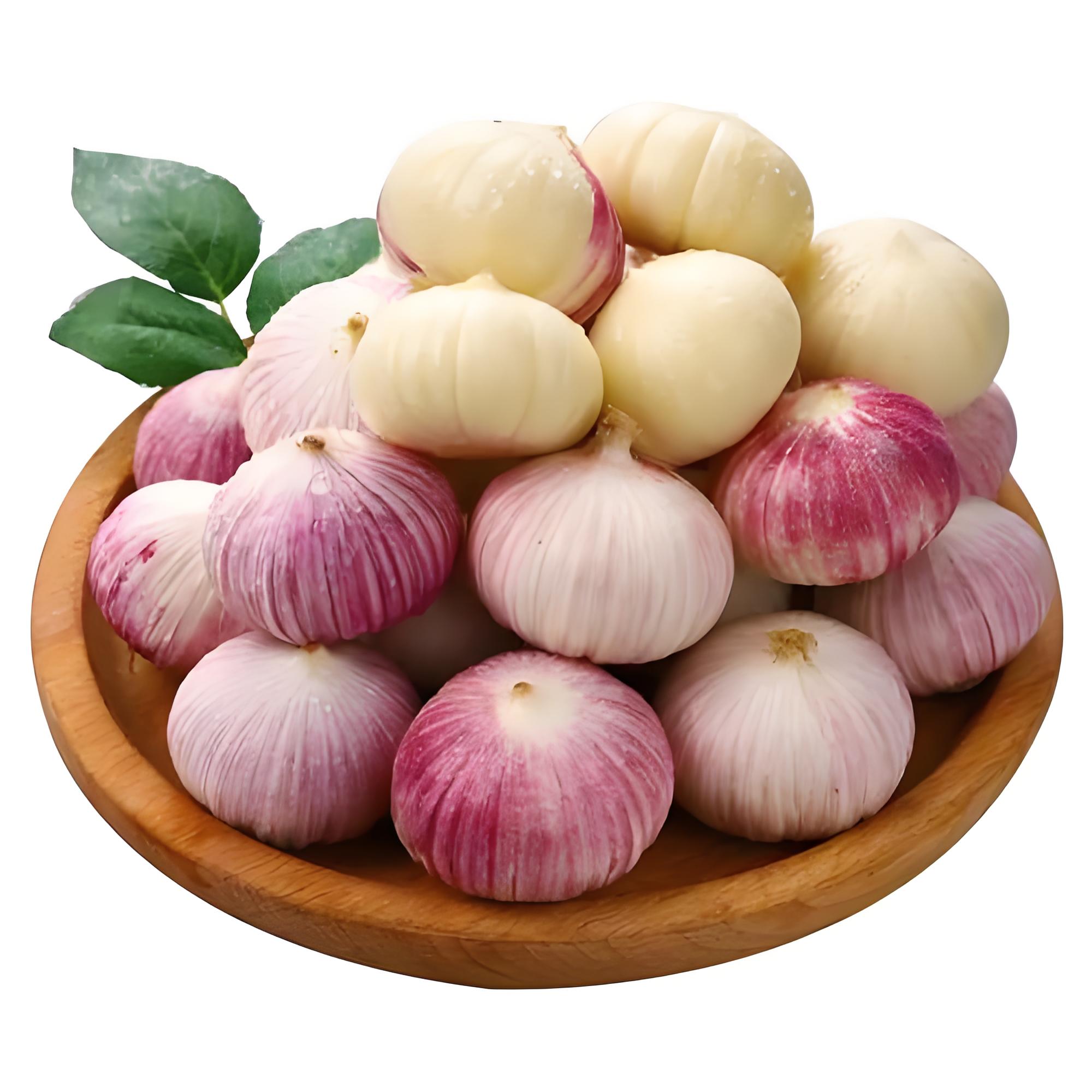 正宗东北独头蒜【现挖现发带须蒜香浓郁】