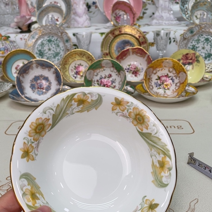 盘维多利亚欧洲中古