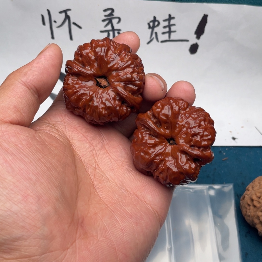 核桃W3969649696464964
