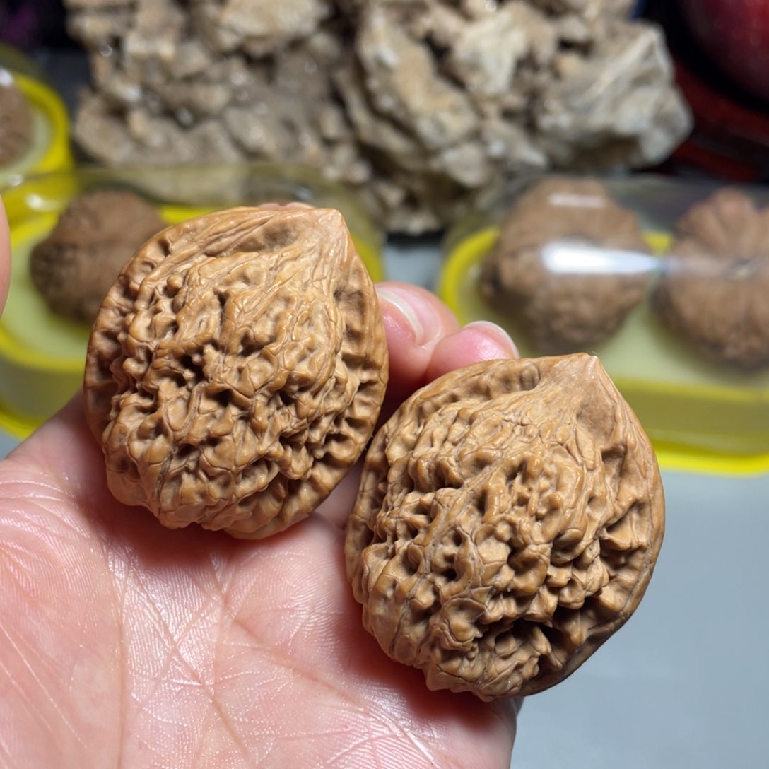 核桃手串/手链精品山地官帽37加