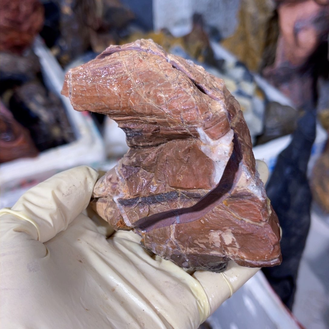 奔*附石盆景一物一拍