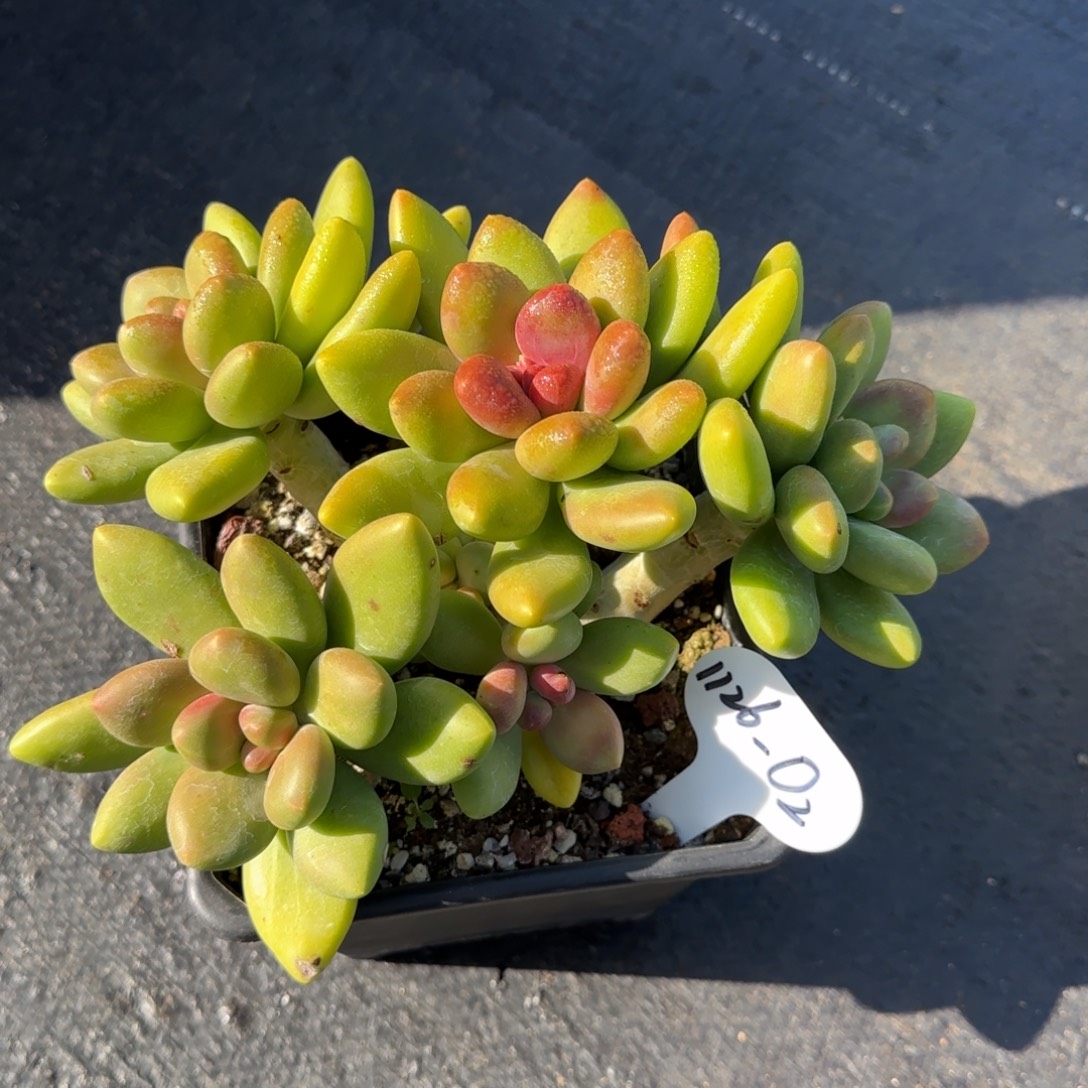 喜***色O2阿啊阿啊阿啊阿啊