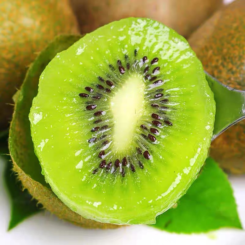 【宗涛粉丝专属】陕西徐香绿心猕猴桃当季新鲜水果香甜多汁软糯爆汁