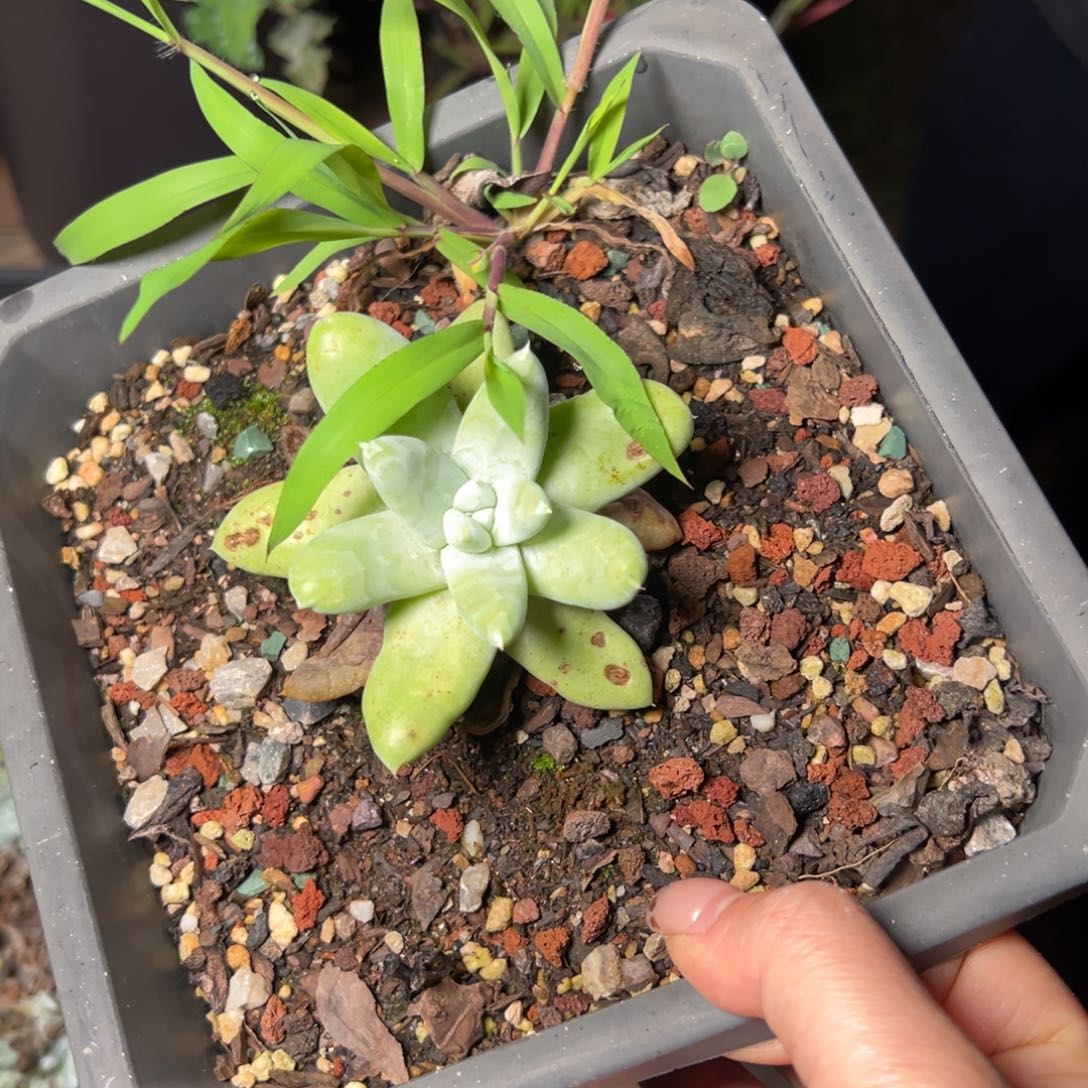 3307哈哈哈哈哈哈哈哈哈哈哈