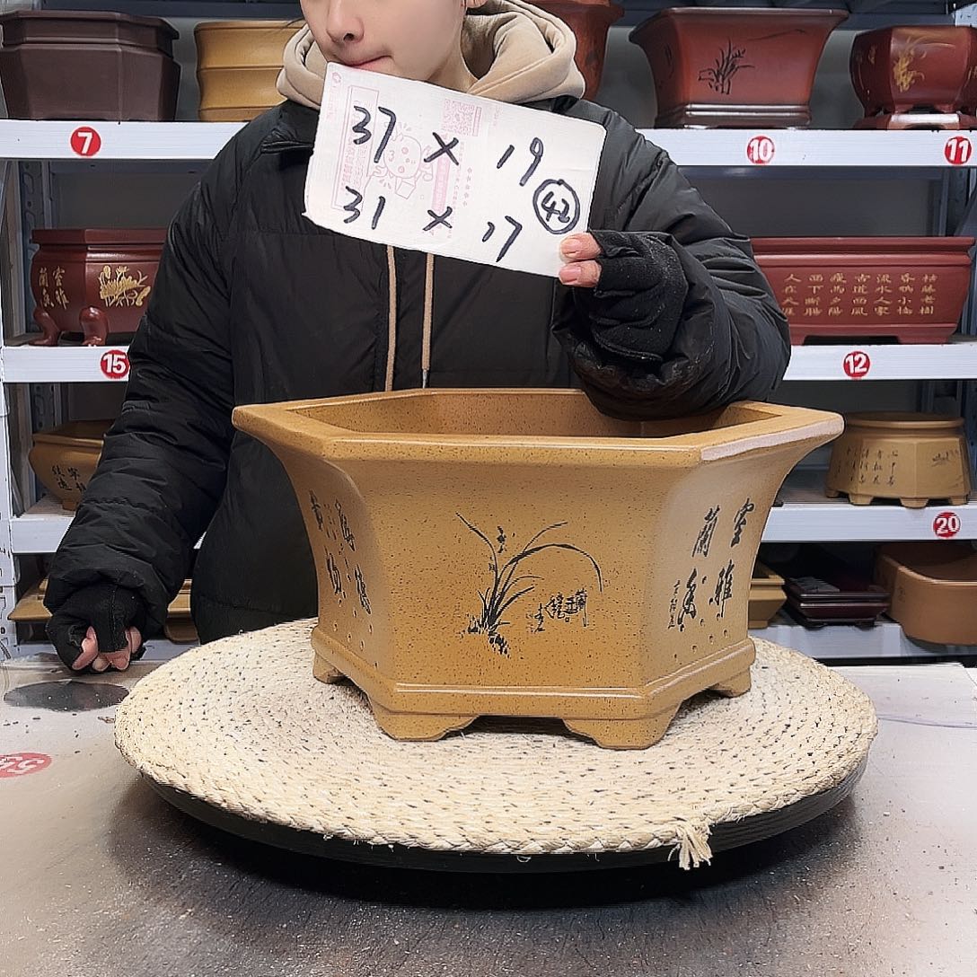 紫砂花盆紫砂花盆