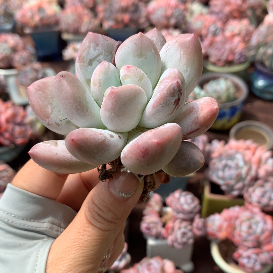 哈哈哈哈哈哈哈哈哈哈