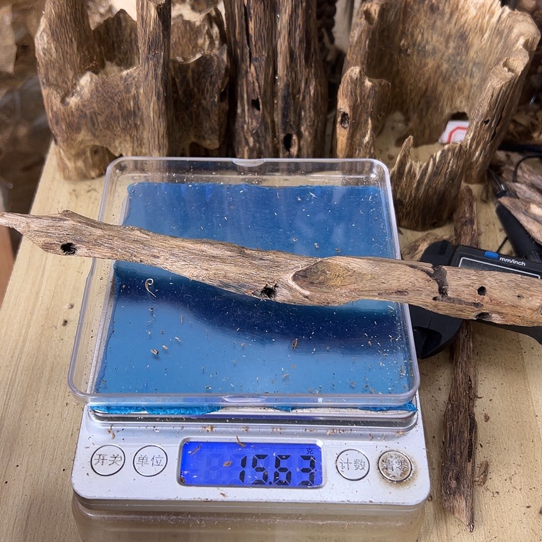 香料绿奇楠虫漏15克乌身