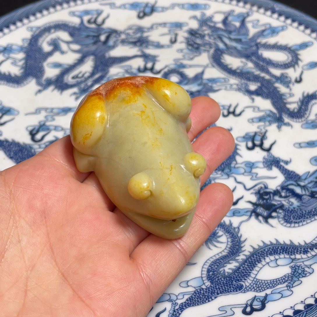 官方链接下单放心拍