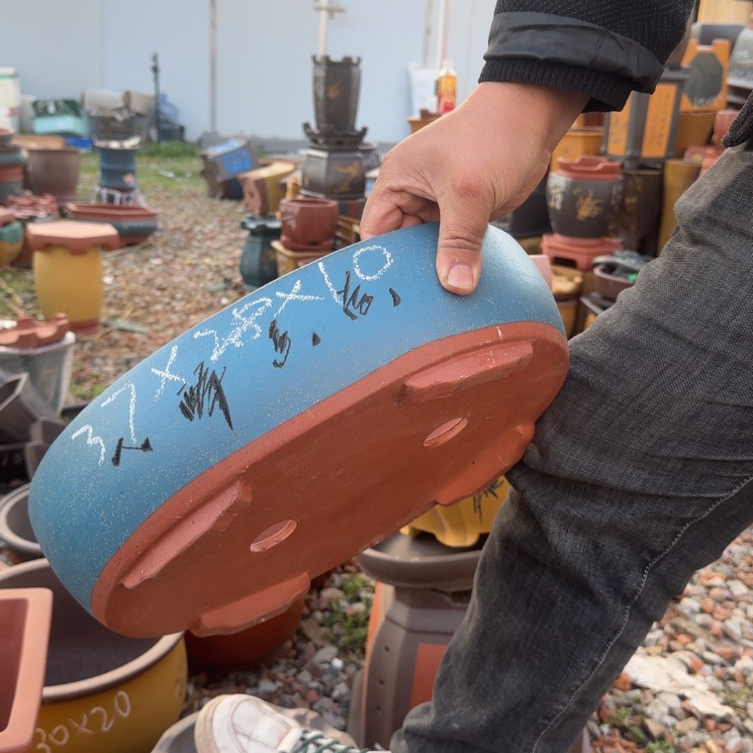 紫砂花盆花盆盆景盆栽