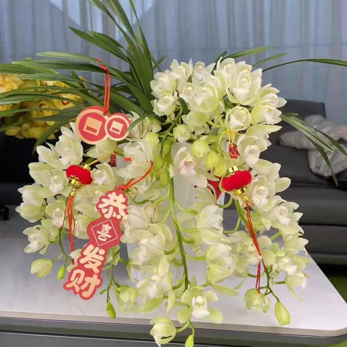 白玉香兰大花蕙兰桌面兰盆栽室内阳台绿植耐寒花好养懒人年宵花卉