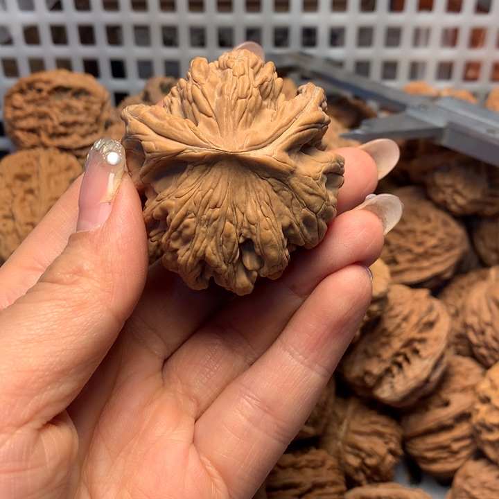 沧***提文玩核桃把件核桃