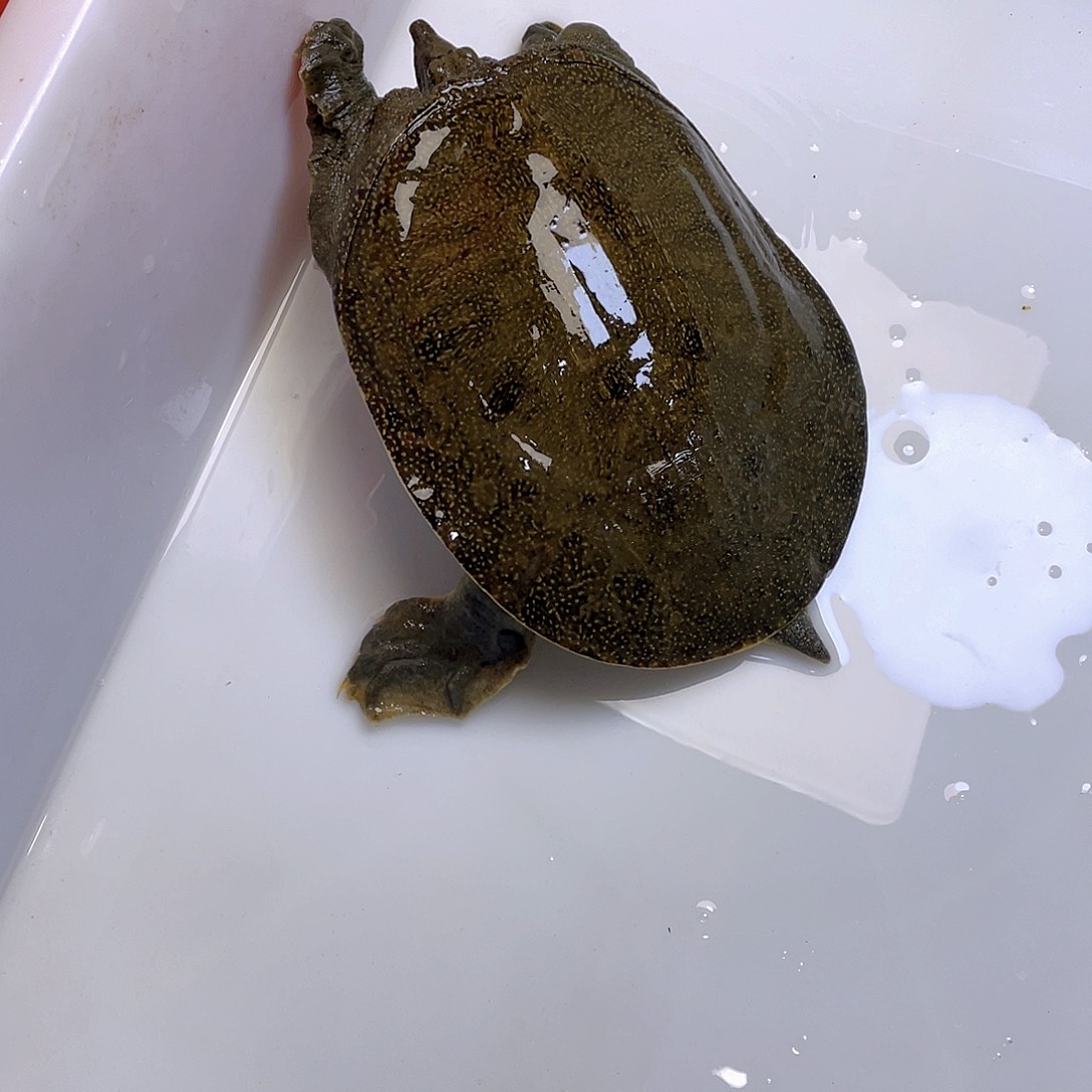 中国大陆12345678