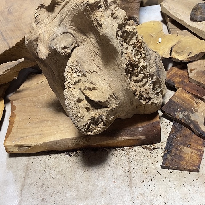 金丝楠木小叶桢楠木