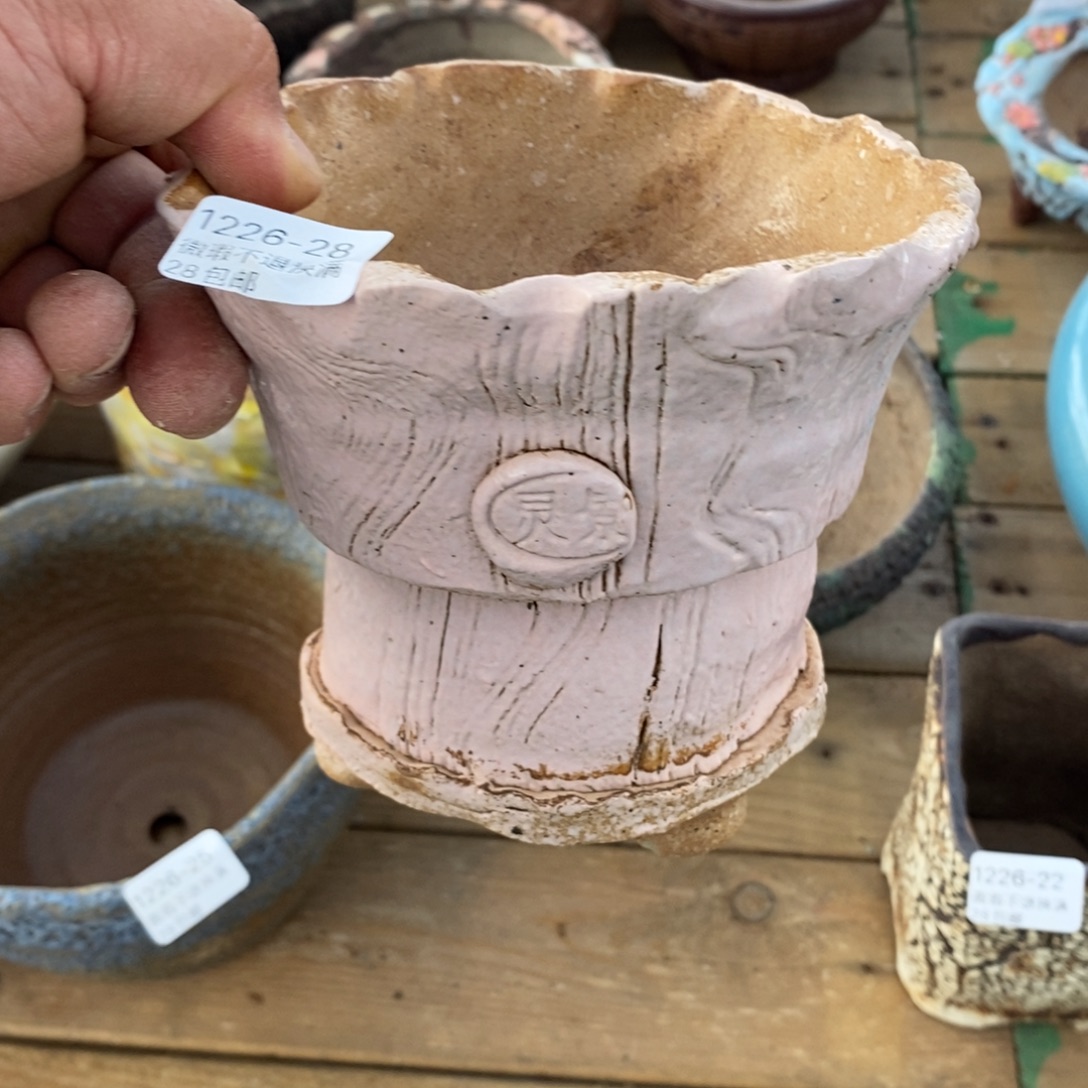 28号花盆内12高13