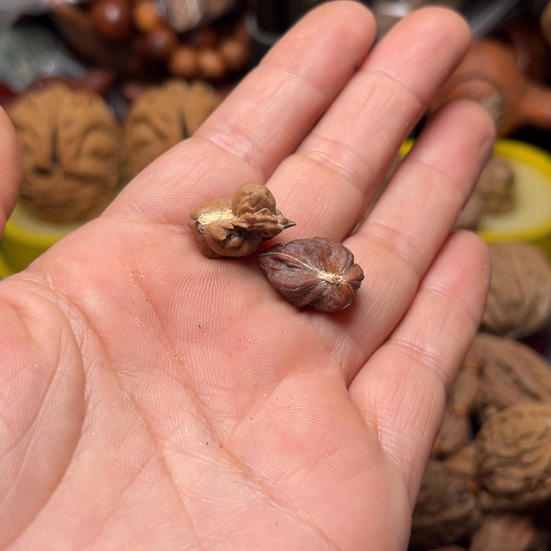 手串文玩核桃核桃99