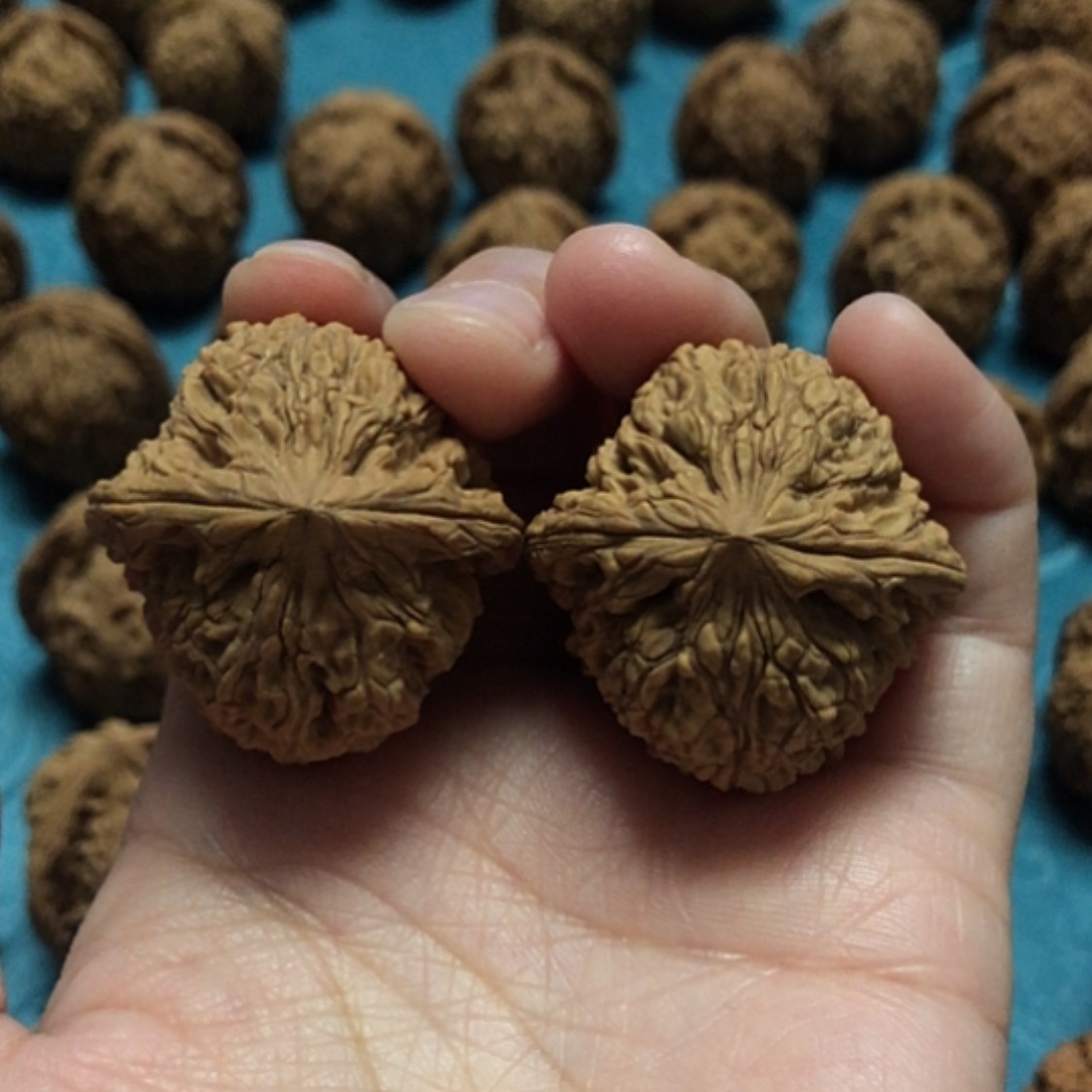 【闪购商品】文玩核桃把件半*醉一代将