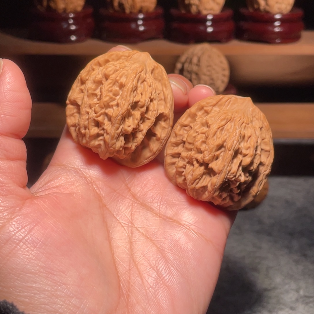 核桃其他正麦虎全品40