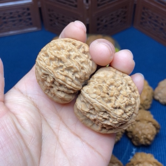 文玩核桃把件白狮子39