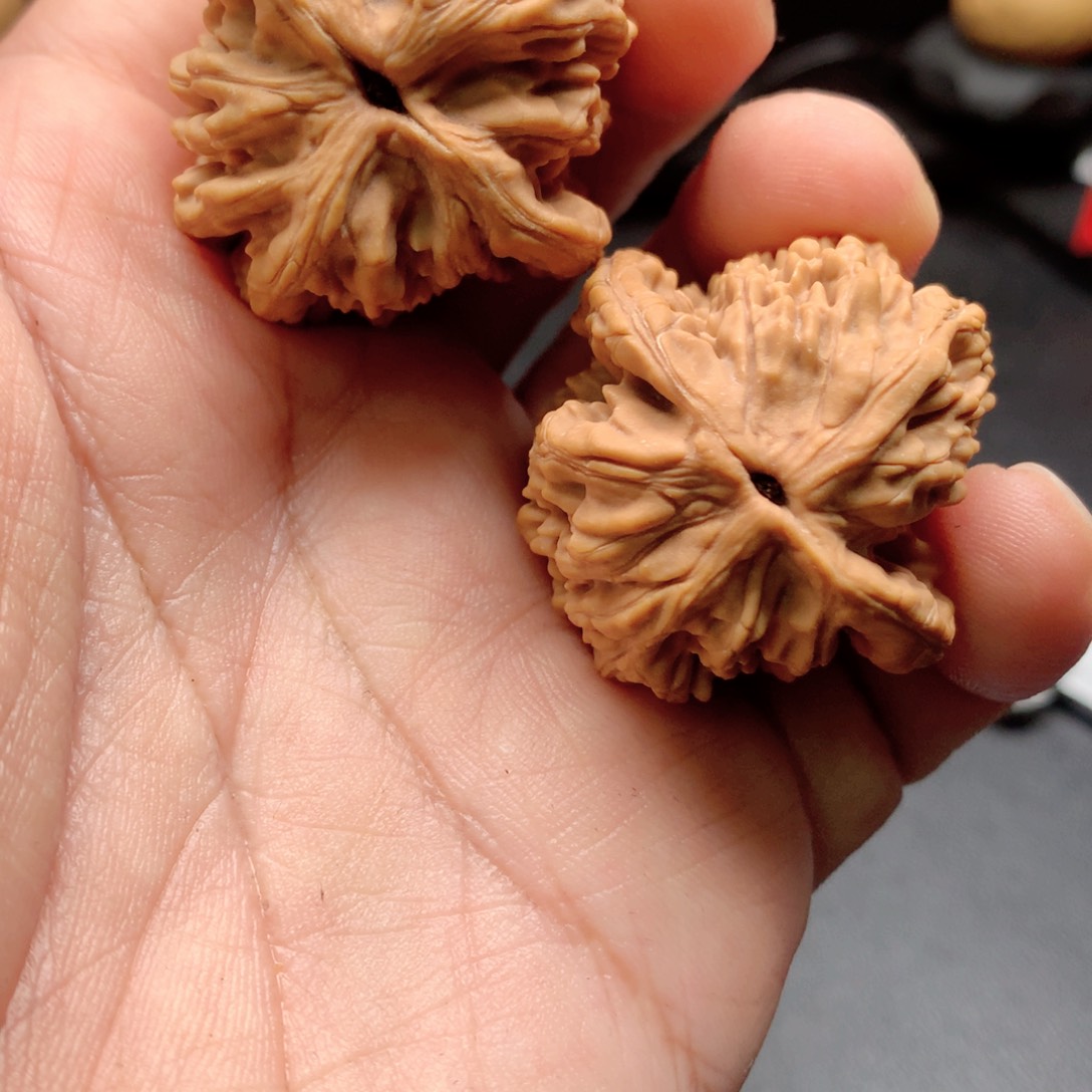 文玩核桃把件大*.麦虎（微色差）