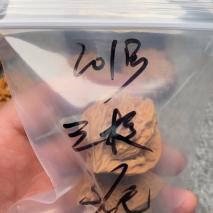 文玩核桃吊坠三棱