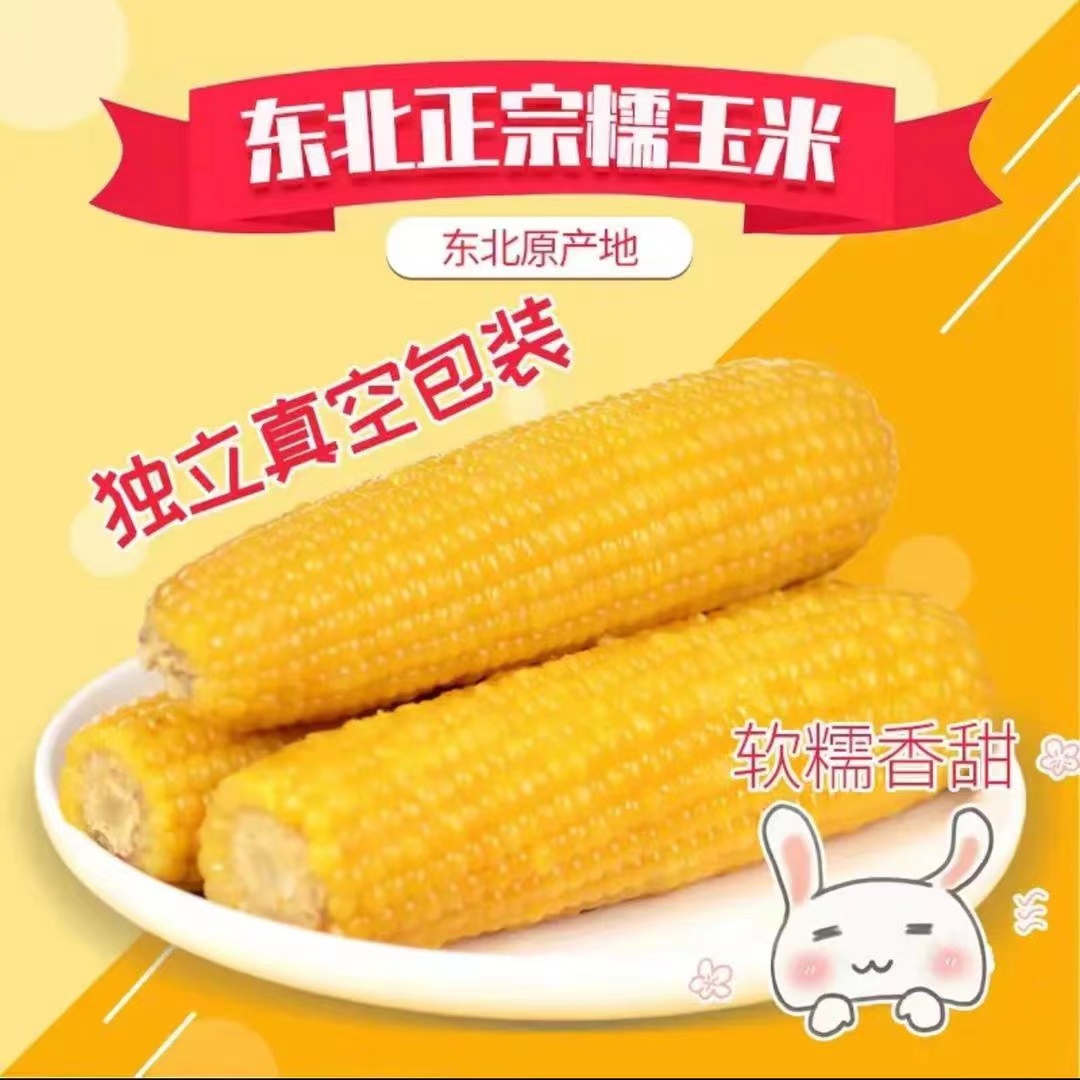【试吃两根】25年头茬糯九黄糯玉米软糯香甜铝箔包装真空锁鲜