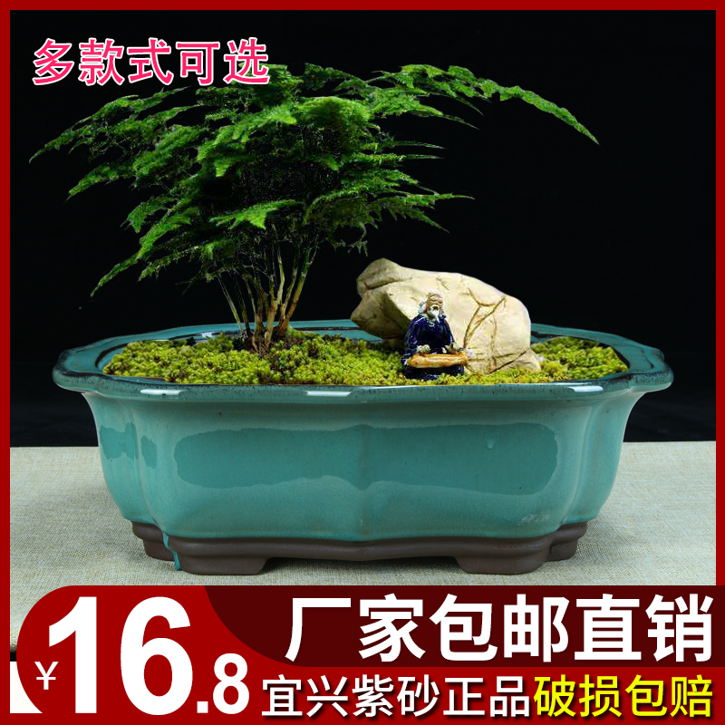 宜兴紫砂花盆清仓多肉桌面花卉绿植盆器陶瓷绿植透气简约釉盆