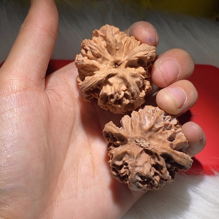 用***7文玩核桃吊坠精品课程等课程教学工作中