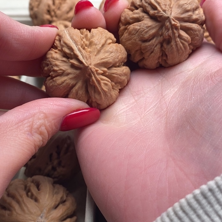 潇***狼霸王龙全品无修一刀没动